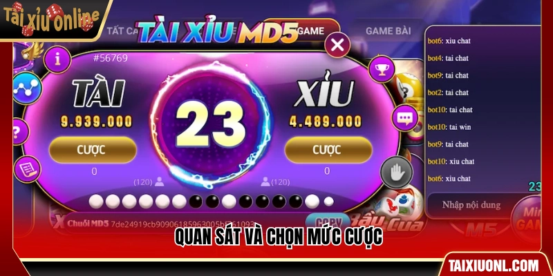 Theo dõi và lựa chọn các mức cược phù hợp